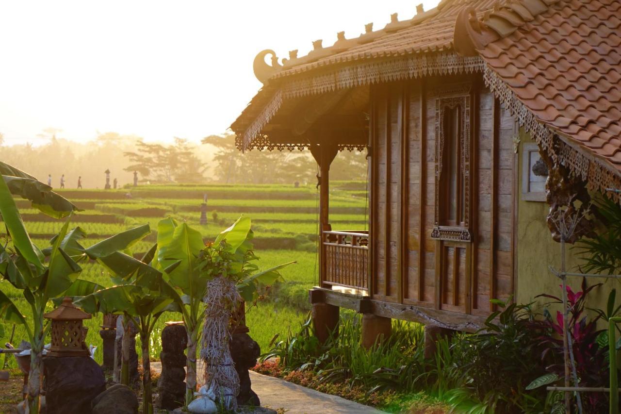 Beta Sunset Joglo Gasthof Ubud